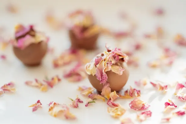 Casino Fantastic Spins Aplicación Android/iOS